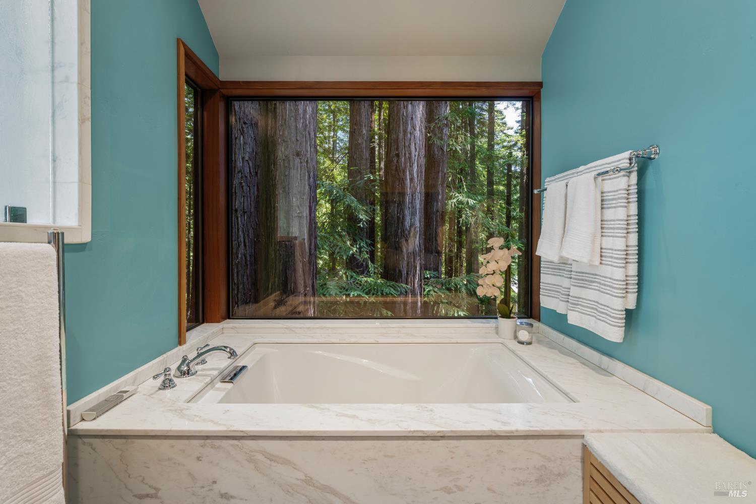 Detail Gallery Image 37 of 55 For 36419 East Ridge Rd, The Sea Ranch,  CA 95497 - 1 Beds | 2 Baths
