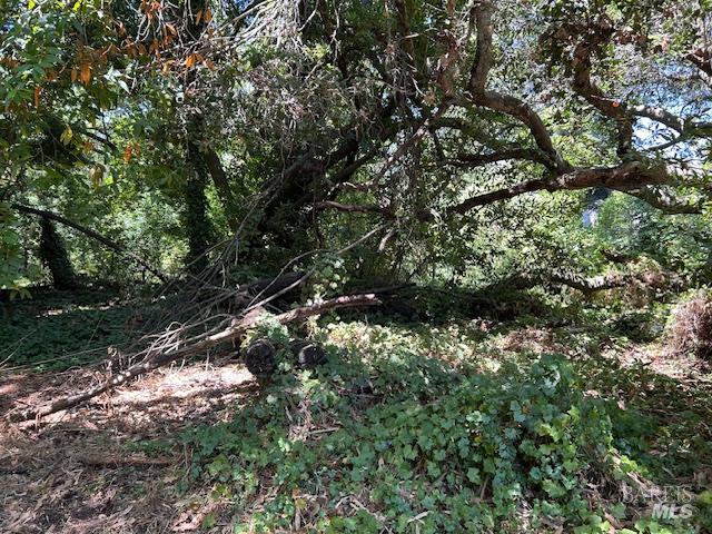 Detail Gallery Image 29 of 36 For 1038 Johnston St, Napa,  CA 94558 - 3 Beds | 1 Baths