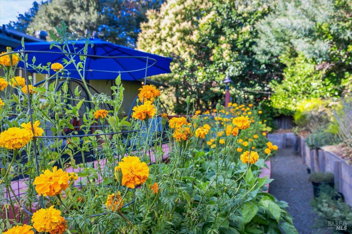 Detail Gallery Image 34 of 50 For 1200 Calle Del Arroyo Unkn, Sonoma,  CA 95476 - 3 Beds | 2 Baths