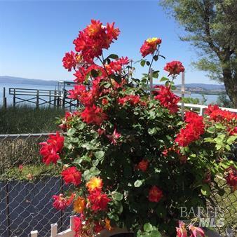 Detail Gallery Image 50 of 74 For 2630 Lakeshore Blvd, Upper Lake,  CA 95485 - – Beds | – Baths