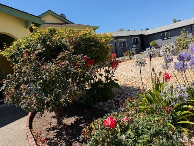 Detail Gallery Image 13 of 16 For 706 Capra Dr, American Canyon,  CA 94503 - 4 Beds | 2 Baths