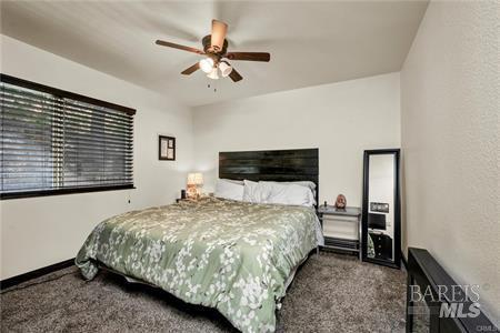 Detail Gallery Image 9 of 15 For 8290 Soda Bay Rd, Kelseyville,  CA 95451 - 2 Beds | 1 Baths