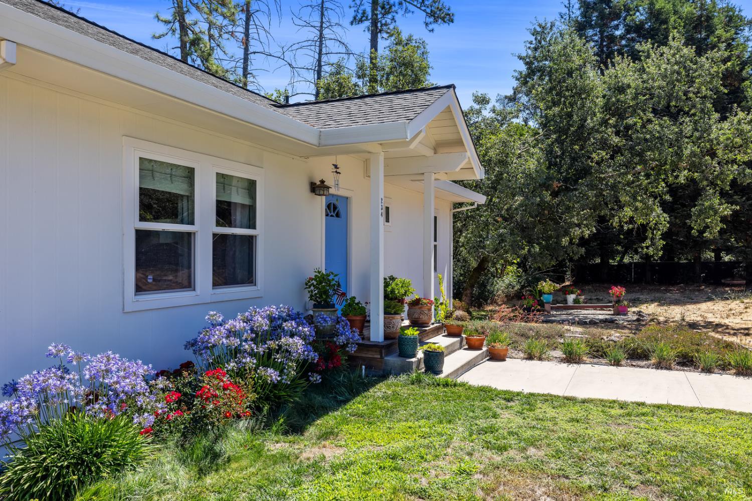 Detail Gallery Image 14 of 39 For 234 Mariposa Dr,  Angwin,  CA 94508 - – Beds | – Baths