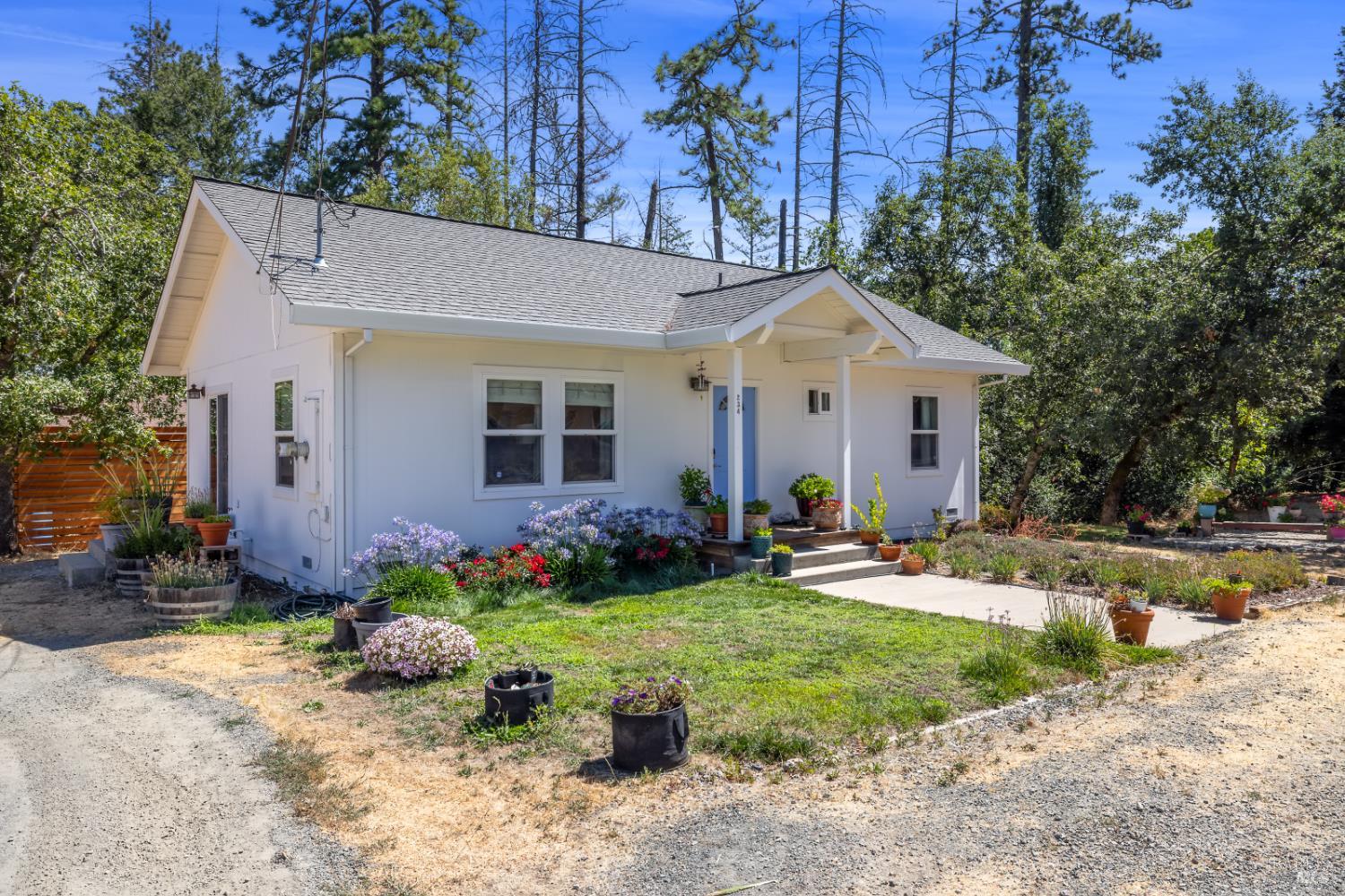 Detail Gallery Image 4 of 37 For 228 Mariposa Dr, Angwin,  CA 94508 - 8 Beds | 4 Baths
