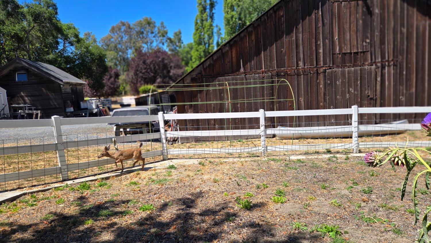 Detail Gallery Image 25 of 46 For 125 Adobe Rd, Penngrove,  CA 94951 - 4 Beds | 3/1 Baths