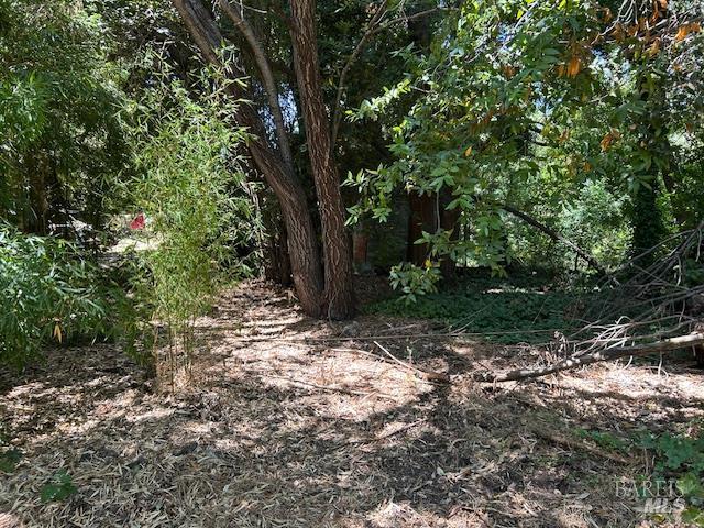 Detail Gallery Image 32 of 36 For 1038 Johnston St, Napa,  CA 94558 - 3 Beds | 1 Baths