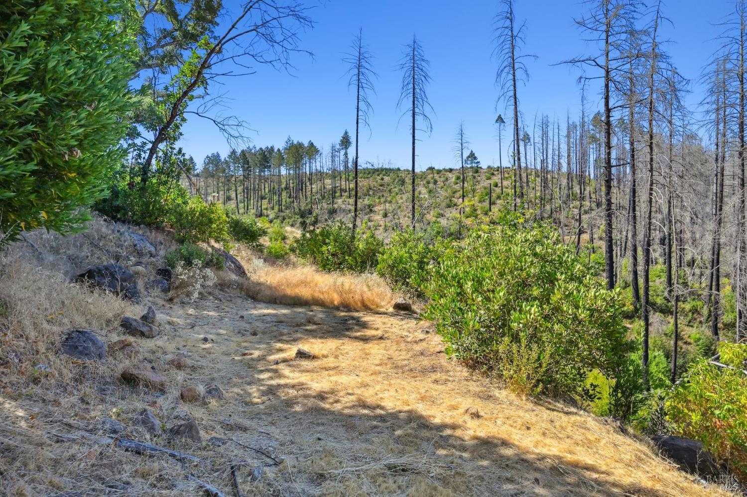 Detail Gallery Image 16 of 24 For 509 Canon Park Dr, Saint Helena,  CA 94574 - – Beds | – Baths