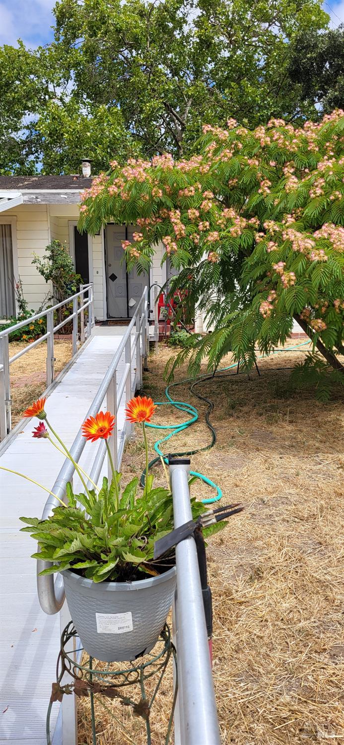 Detail Gallery Image 13 of 18 For 3291 Guerneville Rd, Santa Rosa,  CA 95401 - 3 Beds | 2 Baths