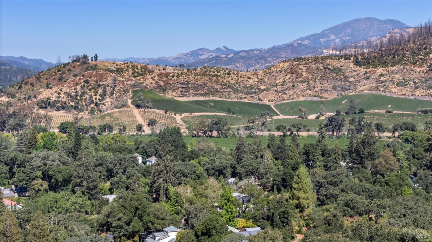 Detail Gallery Image 3 of 24 For 509 Canon Park Dr, Saint Helena,  CA 94574 - – Beds | – Baths