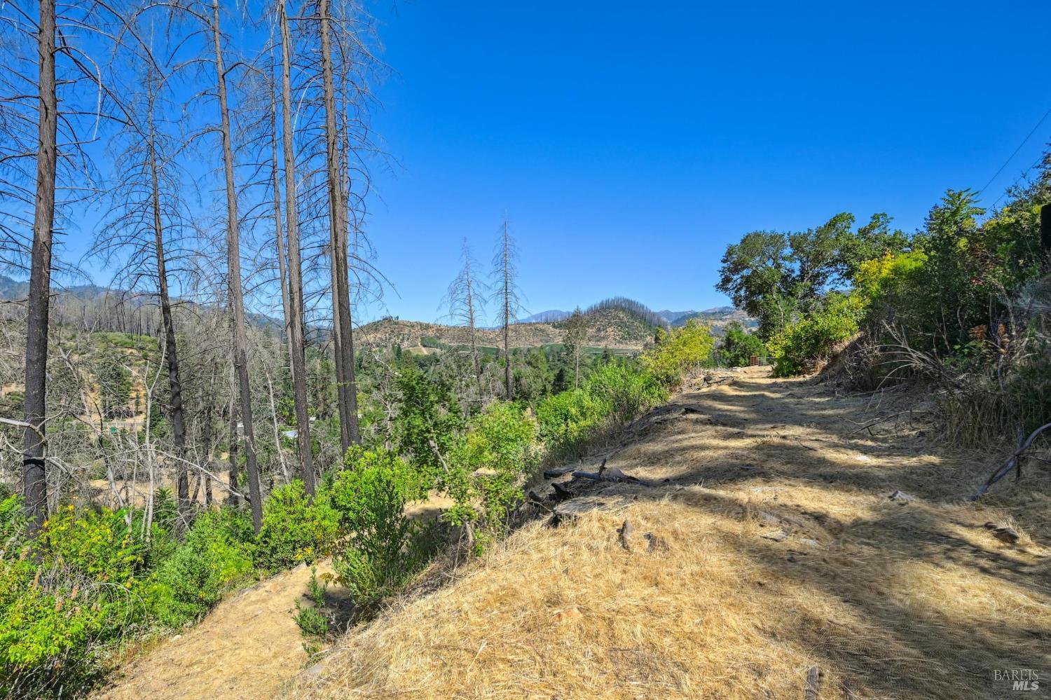 Detail Gallery Image 15 of 24 For 509 Canon Park Dr, Saint Helena,  CA 94574 - – Beds | – Baths