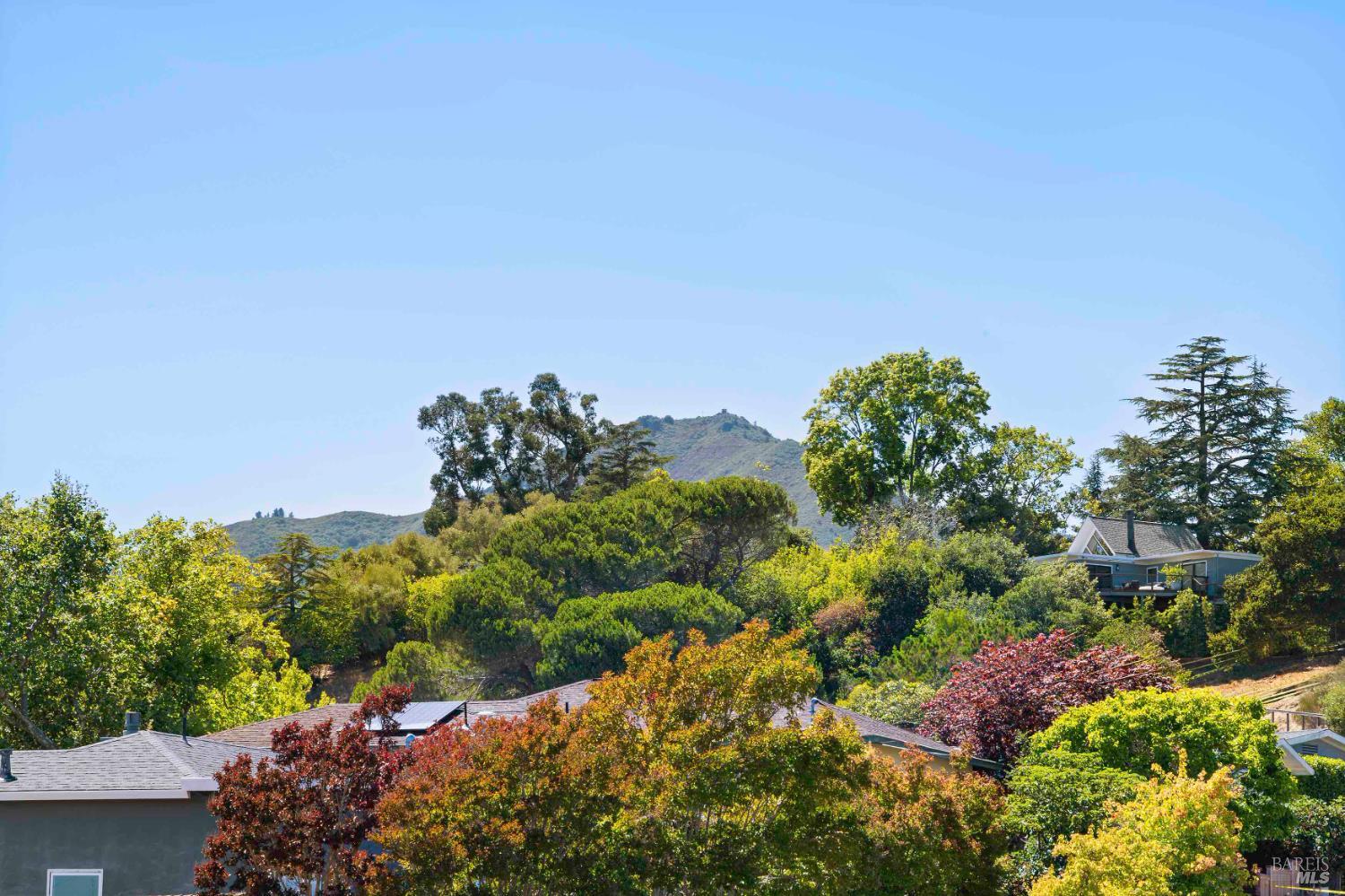 Detail Gallery Image 40 of 46 For 13 Ash Ave, Corte Madera,  CA 94925 - 3 Beds | 2 Baths