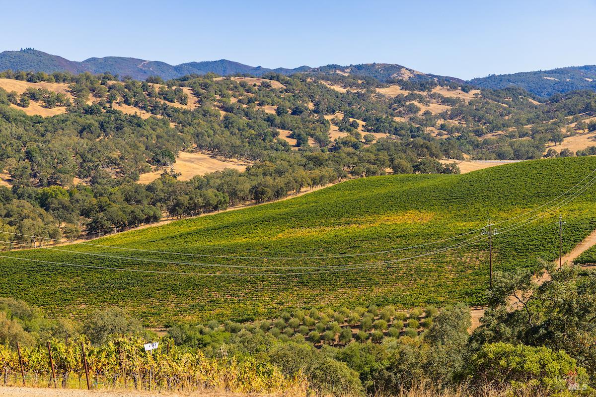 Detail Gallery Image 30 of 48 For 2300 Hwy 175 Unkn, Hopland,  CA 95449 - – Beds | – Baths