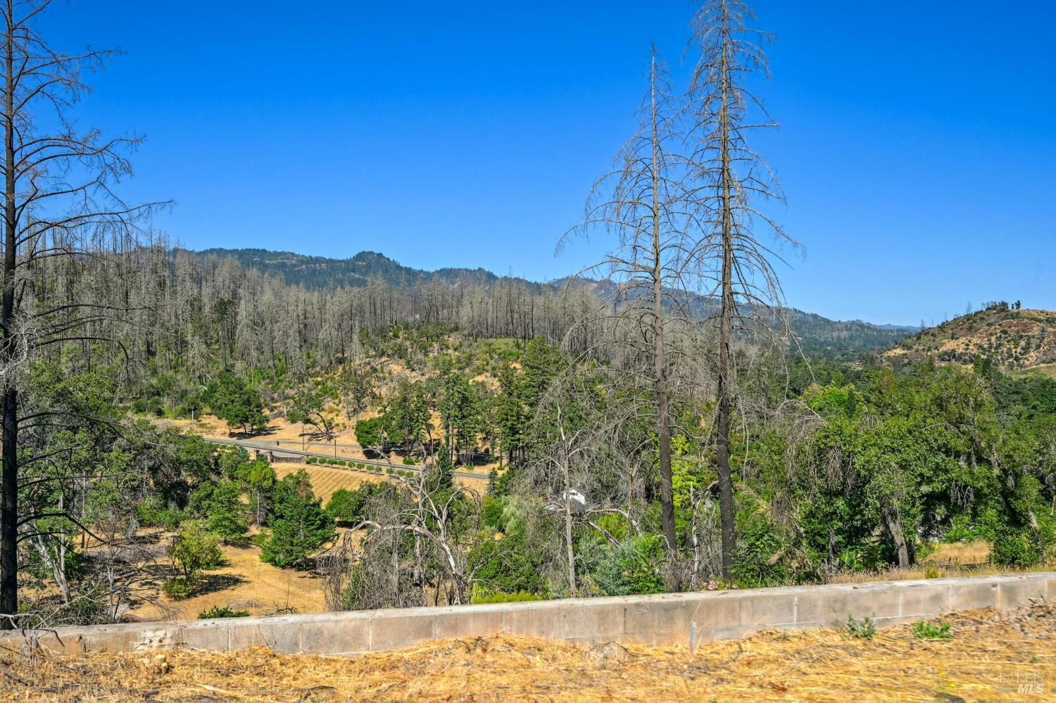 Detail Gallery Image 4 of 24 For 509 Canon Park Dr, Saint Helena,  CA 94574 - – Beds | – Baths