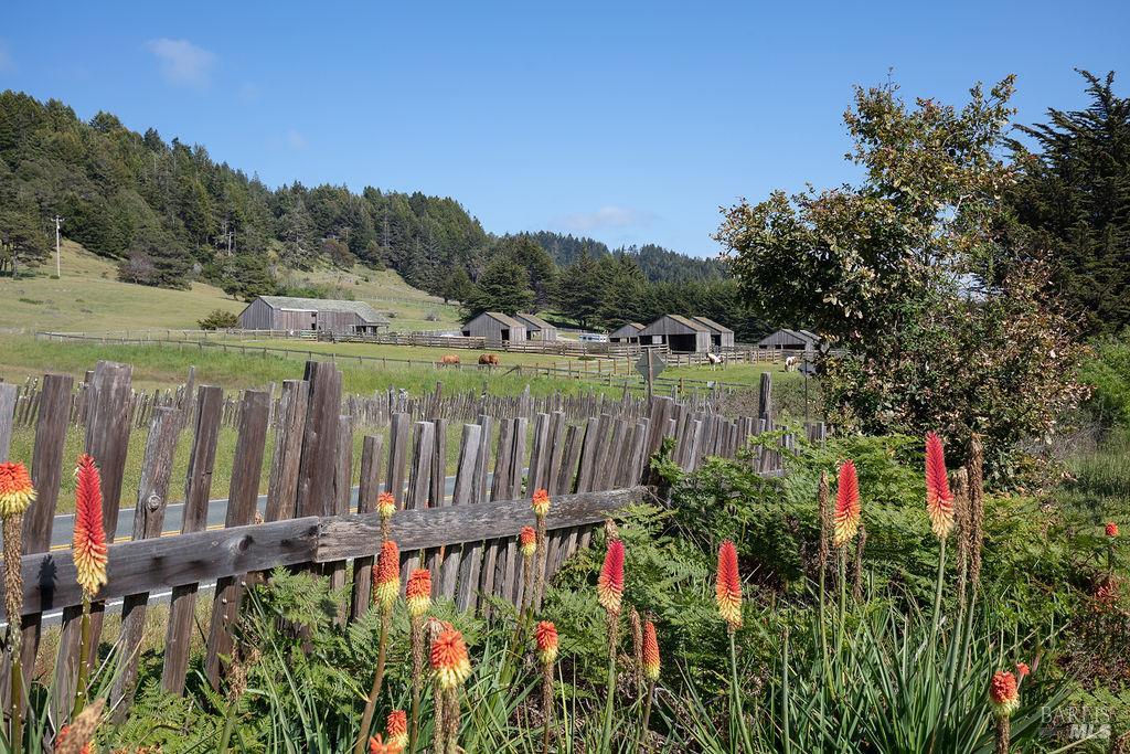 Detail Gallery Image 52 of 55 For 36419 East Ridge Rd, The Sea Ranch,  CA 95497 - 1 Beds | 2 Baths