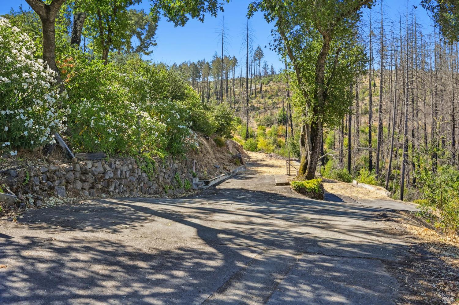 Detail Gallery Image 6 of 24 For 509 Canon Park Dr, Saint Helena,  CA 94574 - – Beds | – Baths