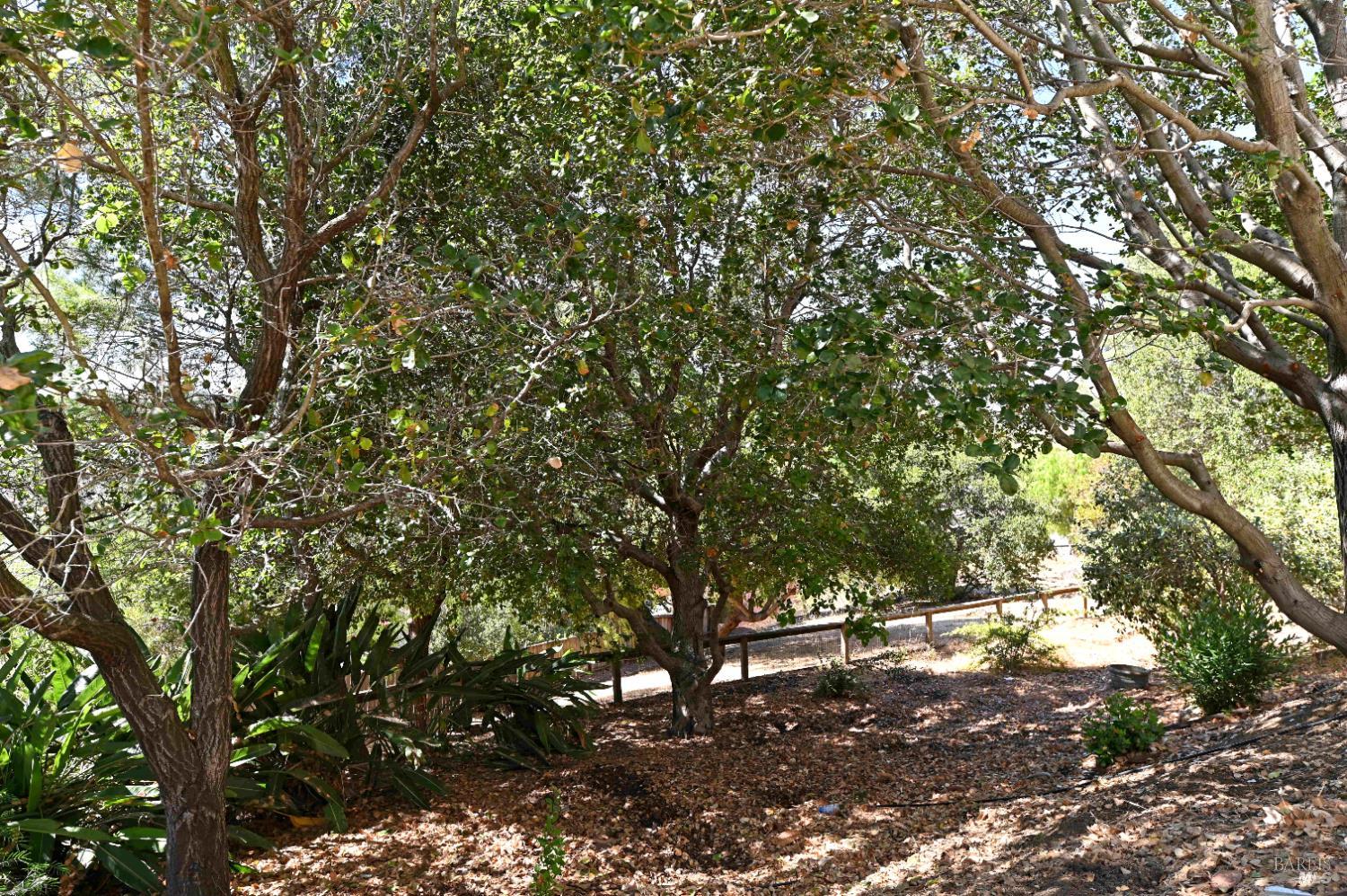 Detail Gallery Image 39 of 40 For 135 Pecan Ct, Vallejo,  CA 94589 - 4 Beds | 3 Baths