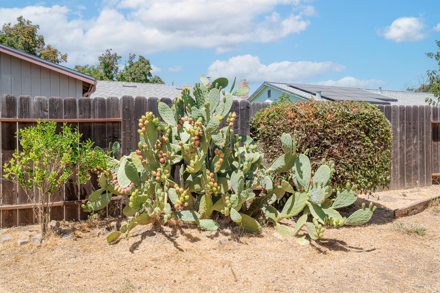 Detail Gallery Image 30 of 35 For 1726 Gershwin Cir, Fairfield,  CA 94533 - 3 Beds | 2 Baths