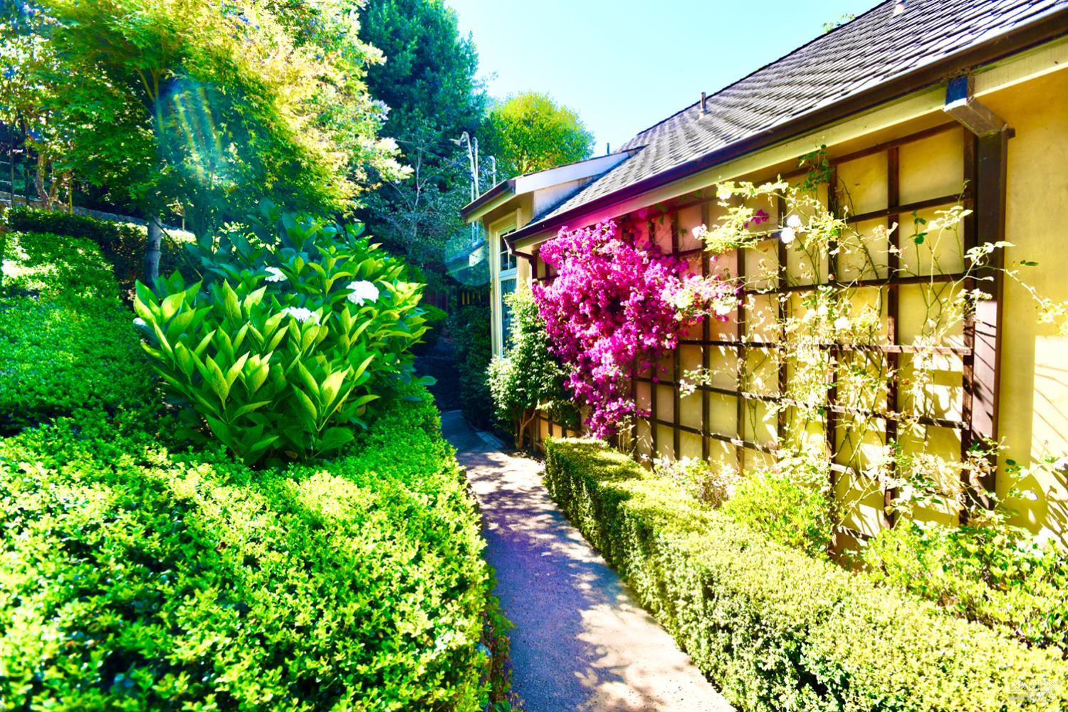 Detail Gallery Image 61 of 65 For 189 Morning Sun Ave, Mill Valley,  CA 94941 - 4 Beds | 3 Baths