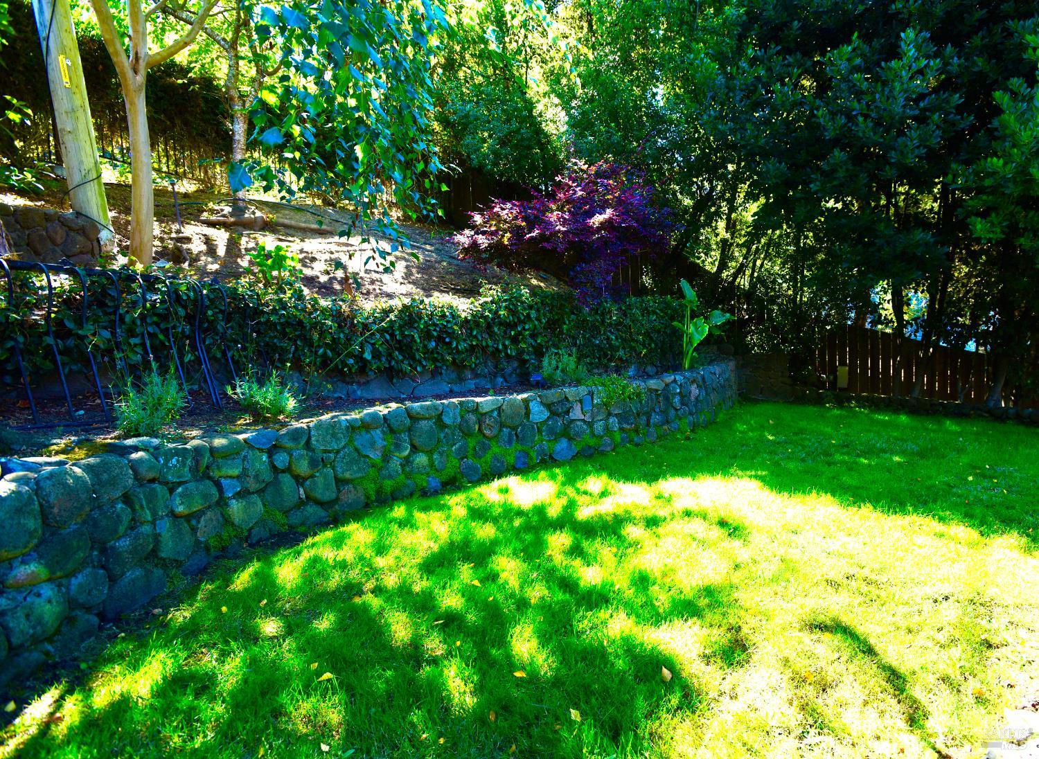 Detail Gallery Image 62 of 65 For 189 Morning Sun Ave, Mill Valley,  CA 94941 - 4 Beds | 3 Baths
