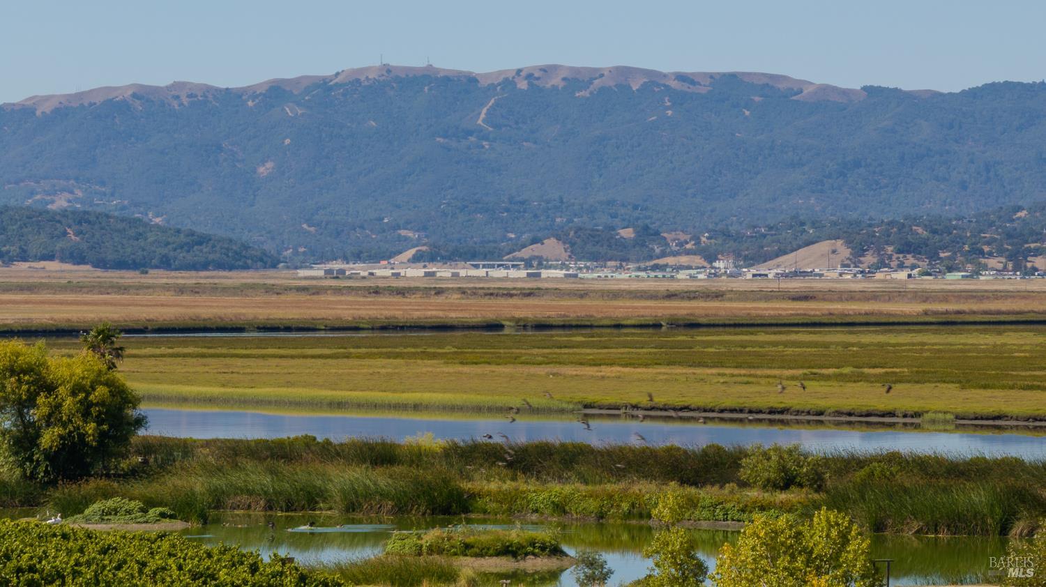 Detail Gallery Image 22 of 70 For 6614 Lakeville Hwy, Petaluma,  CA 94954 - 11 Beds | 15/1 Baths