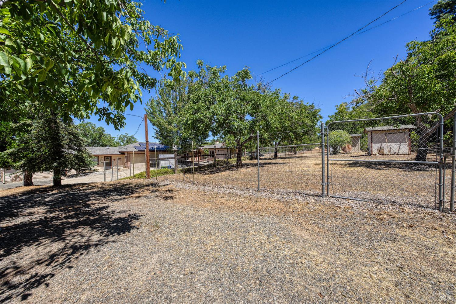 Detail Gallery Image 57 of 71 For 8700 Red Hills Rd, Kelseyville,  CA 95451 - 5 Beds | 3 Baths