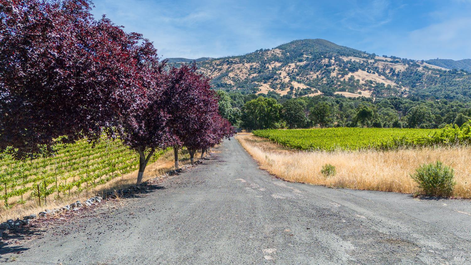 Detail Gallery Image 7 of 27 For 12400 Tomki Rd, Redwood Valley,  CA 95470 - – Beds | – Baths