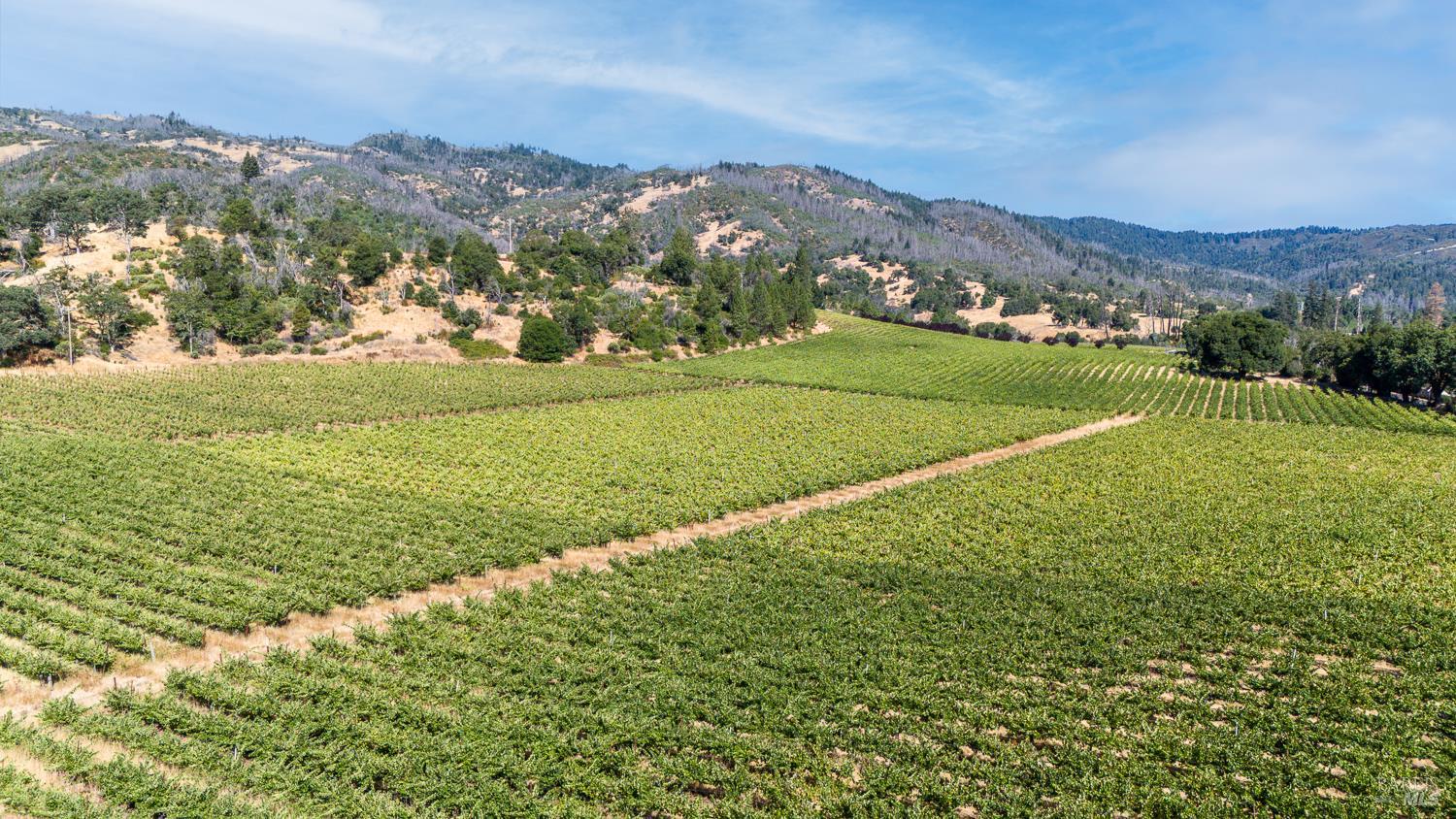 Detail Gallery Image 21 of 27 For 12400 Tomki Rd, Redwood Valley,  CA 95470 - – Beds | – Baths