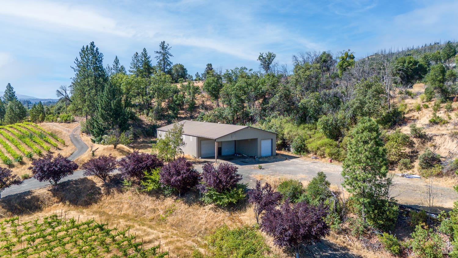 Detail Gallery Image 12 of 27 For 12400 Tomki Rd, Redwood Valley,  CA 95470 - – Beds | – Baths