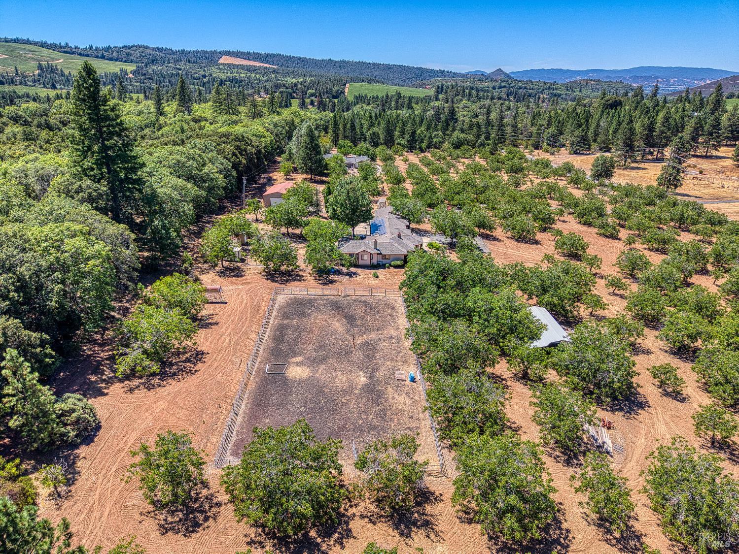 Detail Gallery Image 66 of 71 For 8700 Red Hills Rd, Kelseyville,  CA 95451 - 5 Beds | 3 Baths