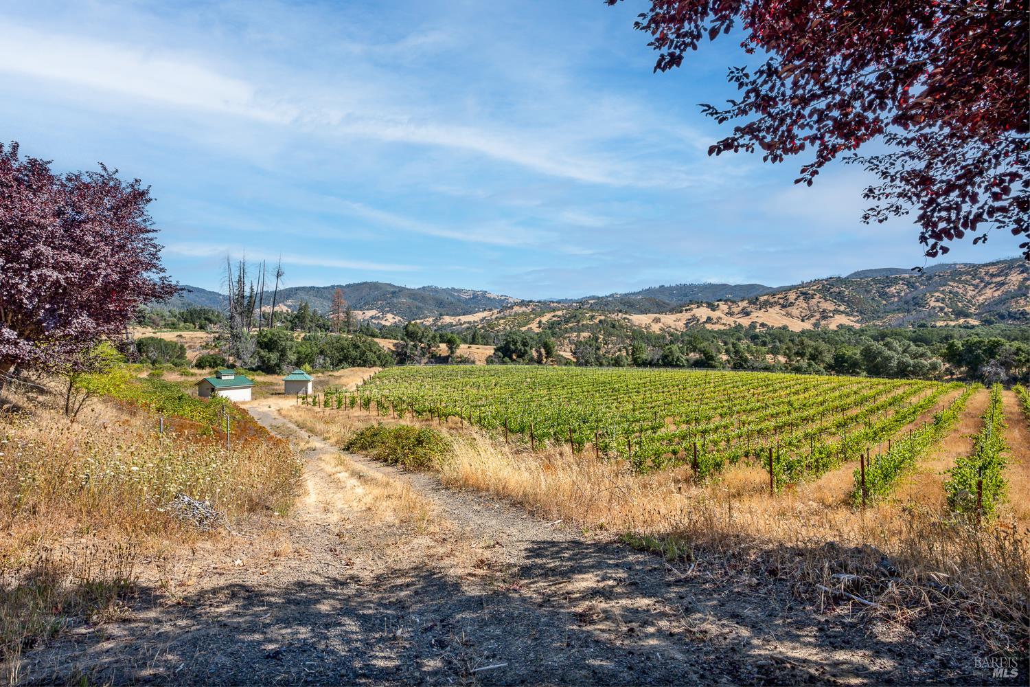 Detail Gallery Image 26 of 27 For 12400 Tomki Rd, Redwood Valley,  CA 95470 - – Beds | – Baths