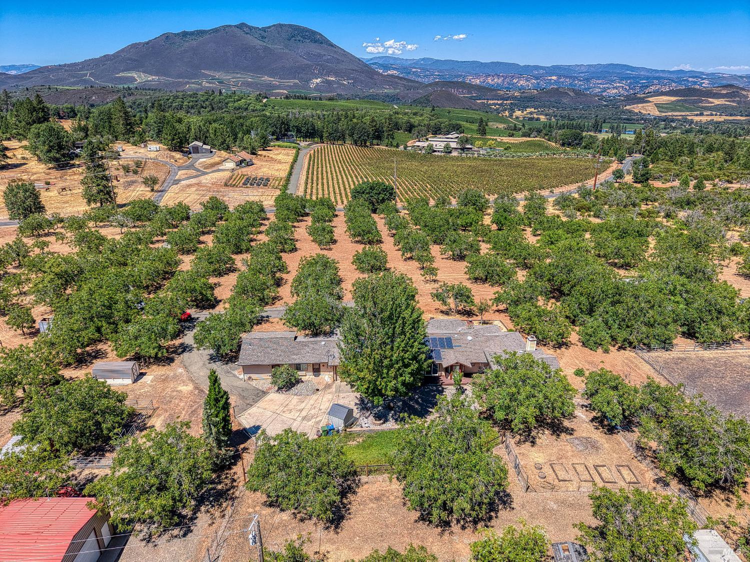 Detail Gallery Image 65 of 71 For 8700 Red Hills Rd, Kelseyville,  CA 95451 - 5 Beds | 3 Baths