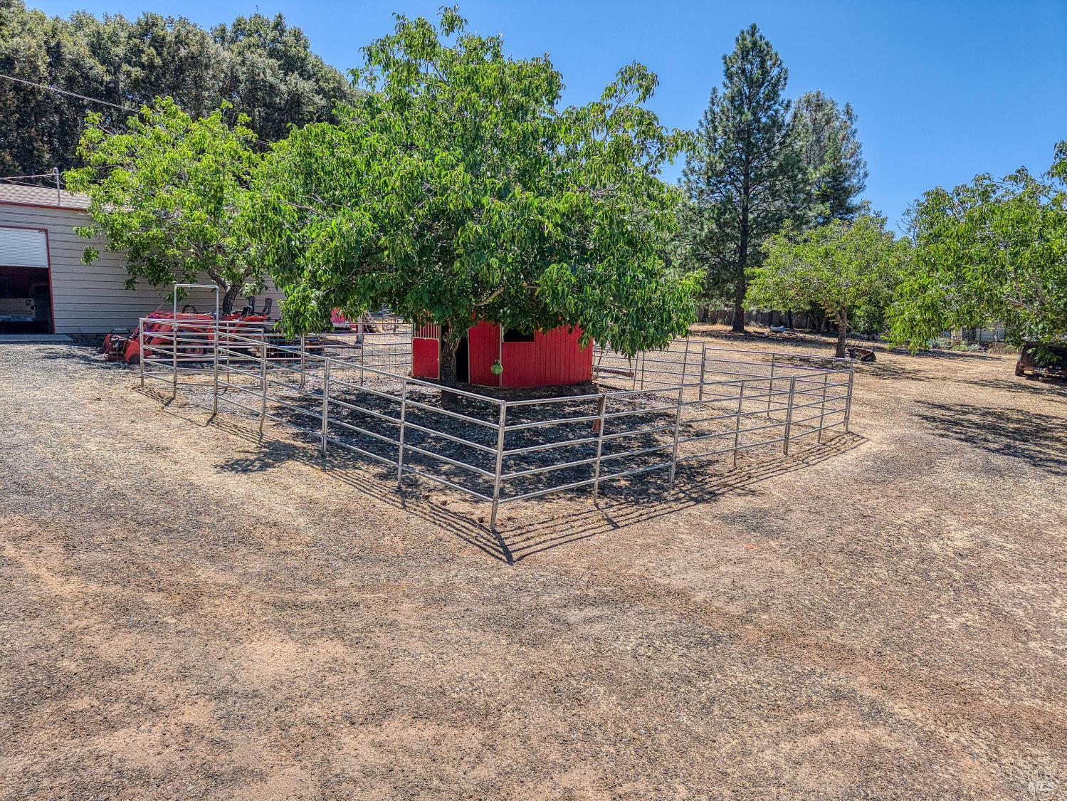 Detail Gallery Image 54 of 71 For 8700 Red Hills Rd, Kelseyville,  CA 95451 - 5 Beds | 3 Baths