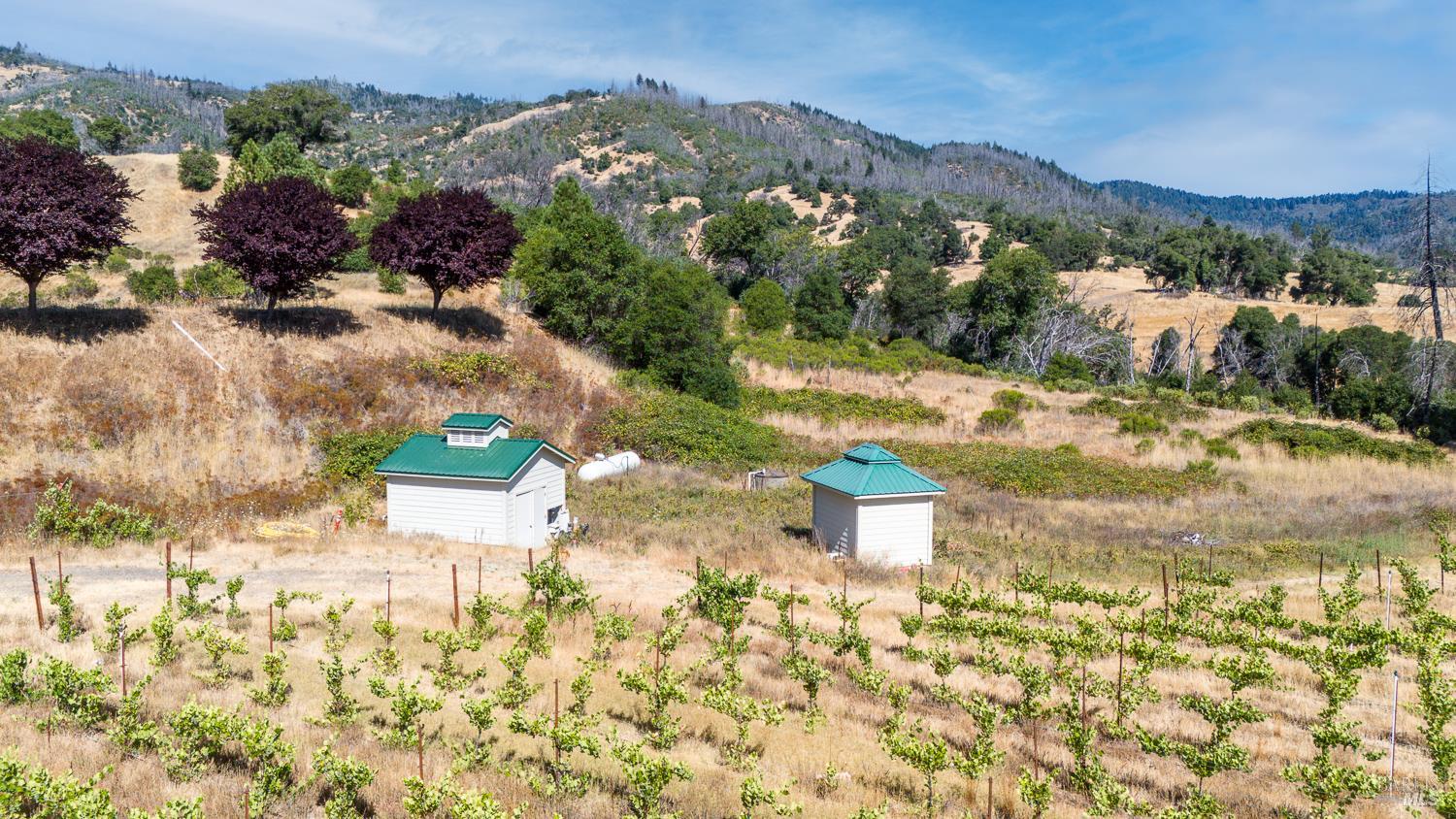 Detail Gallery Image 27 of 27 For 12400 Tomki Rd, Redwood Valley,  CA 95470 - – Beds | – Baths
