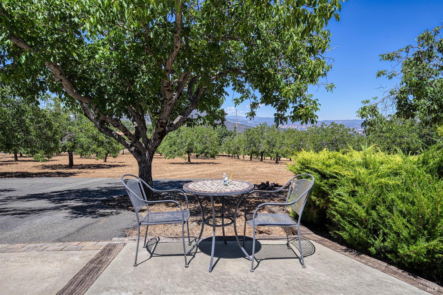 Detail Gallery Image 49 of 71 For 8700 Red Hills Rd, Kelseyville,  CA 95451 - 5 Beds | 3 Baths