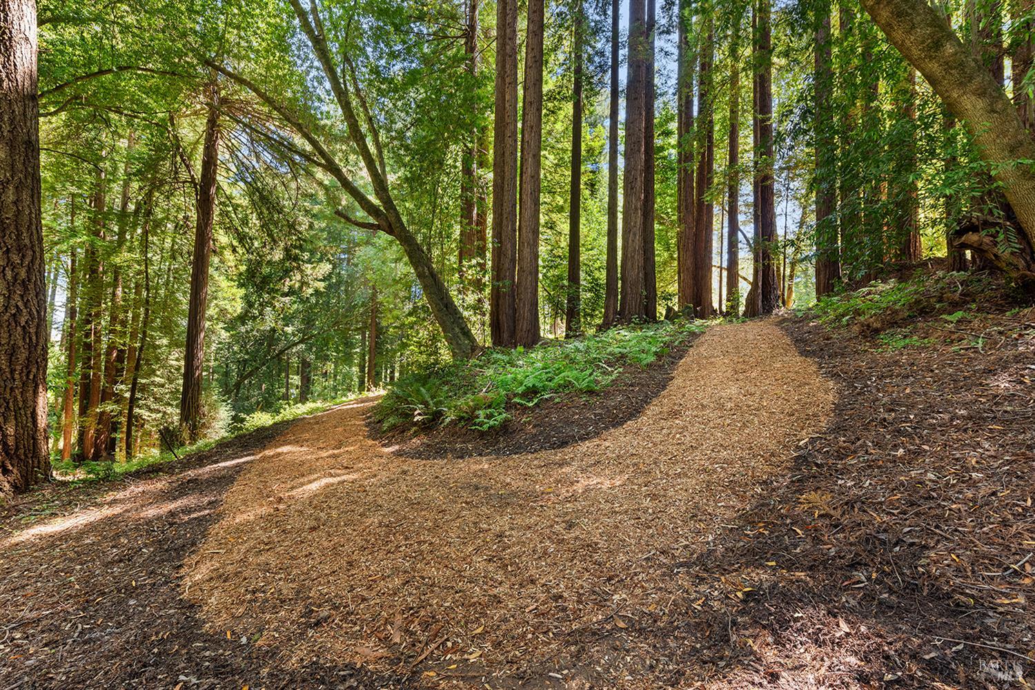 Detail Gallery Image 80 of 89 For 12675 Fiori Ln, Sebastopol,  CA 95472 - 4 Beds | 3/1 Baths