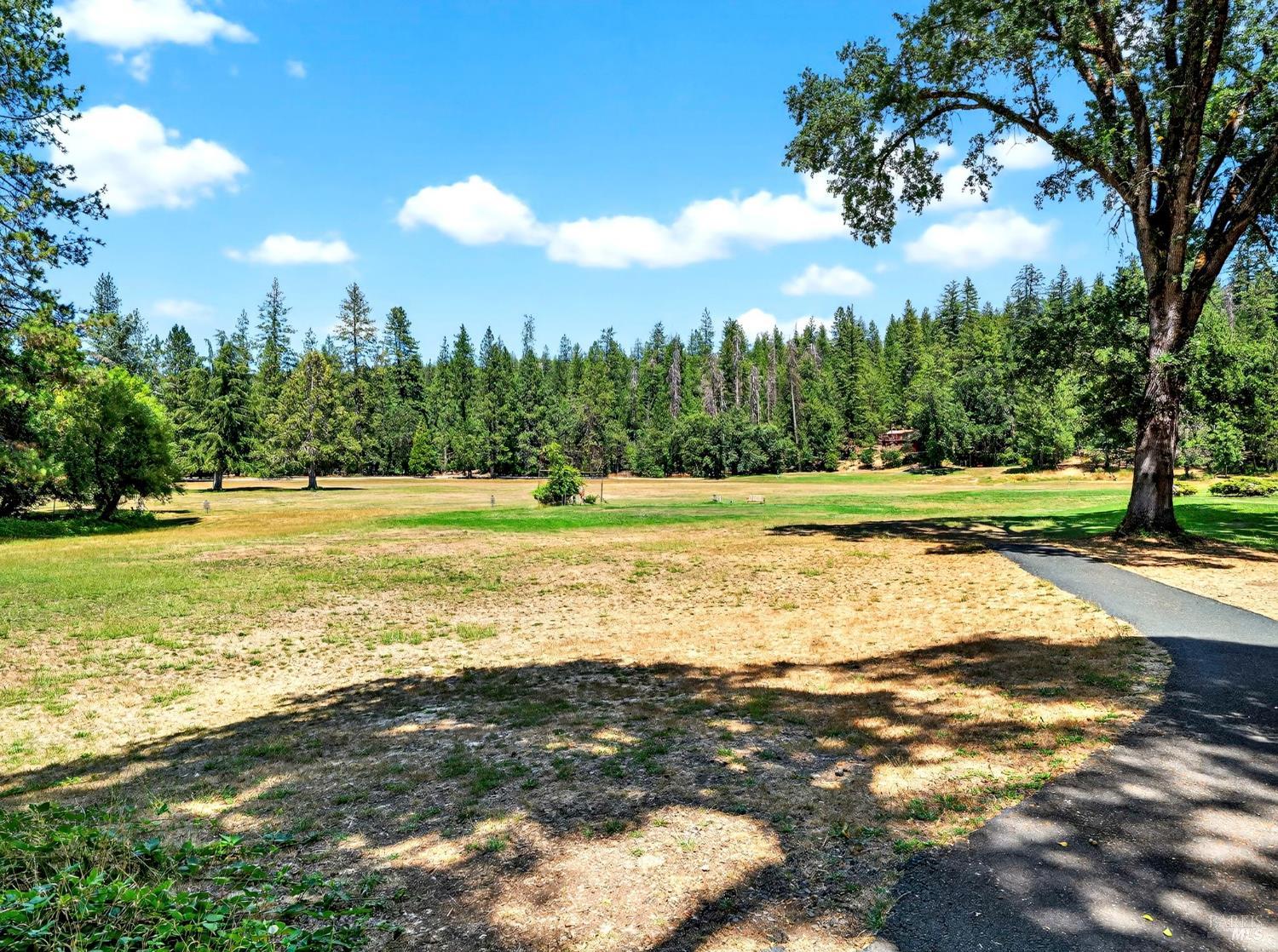 Detail Gallery Image 85 of 91 For 16451 Golf Rd, Cobb,  CA 95426 - 2 Beds | 1 Baths