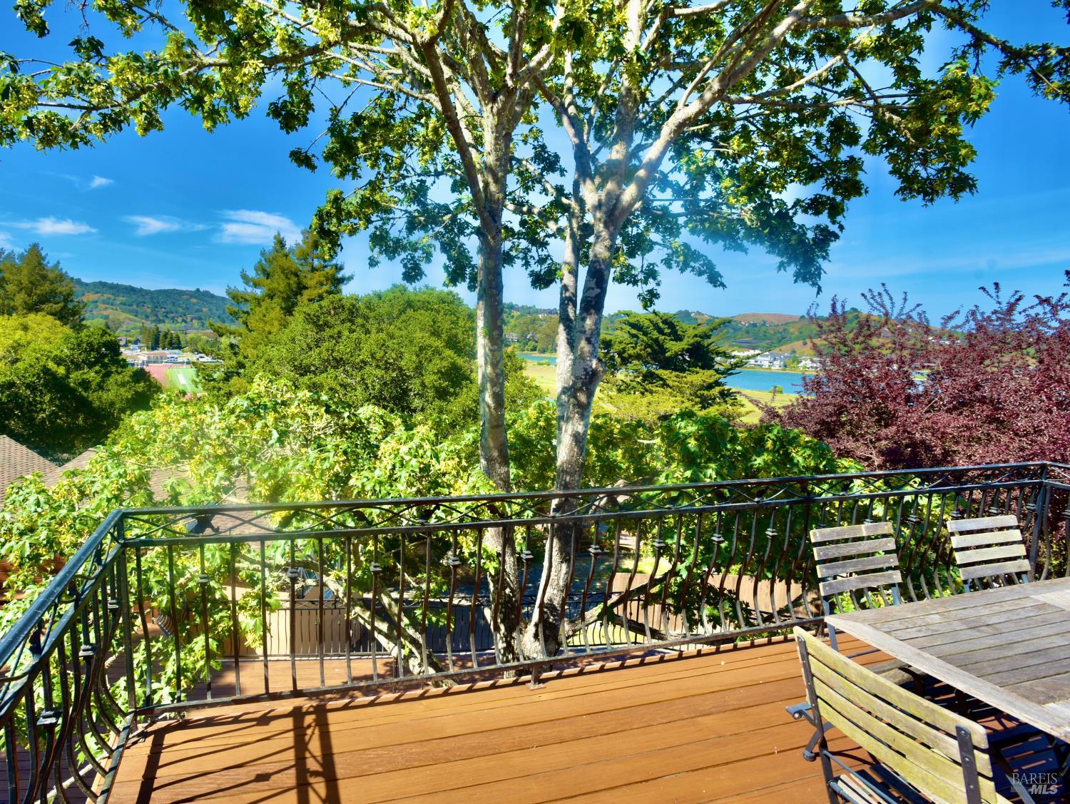 Detail Gallery Image 65 of 65 For 189 Morning Sun Ave, Mill Valley,  CA 94941 - 4 Beds | 3 Baths