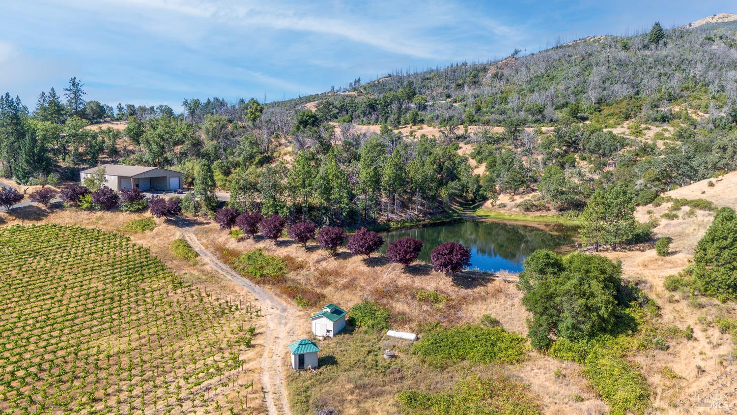 Detail Gallery Image 11 of 27 For 12400 Tomki Rd, Redwood Valley,  CA 95470 - – Beds | – Baths