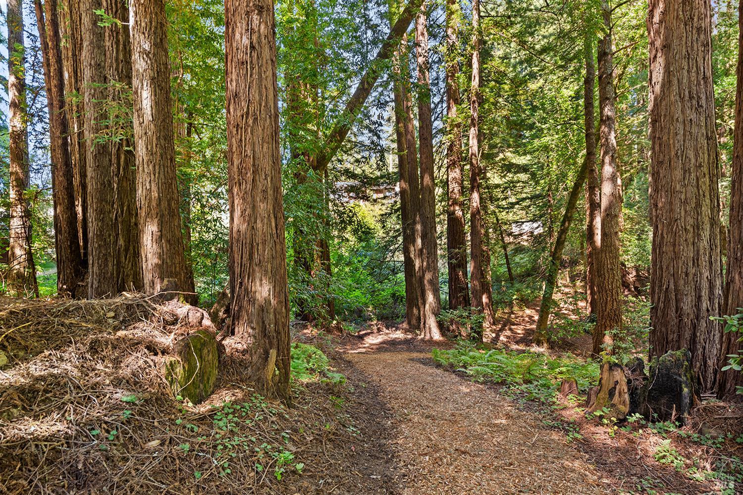 Detail Gallery Image 79 of 89 For 12675 Fiori Ln, Sebastopol,  CA 95472 - 4 Beds | 3/1 Baths