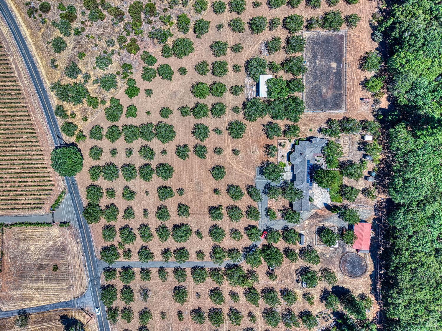 Detail Gallery Image 68 of 71 For 8700 Red Hills Rd, Kelseyville,  CA 95451 - 5 Beds | 3 Baths