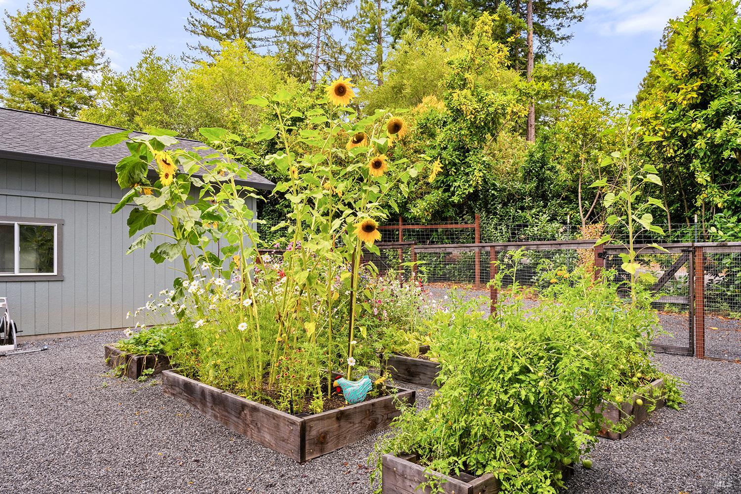 Detail Gallery Image 78 of 89 For 12675 Fiori Ln, Sebastopol,  CA 95472 - 4 Beds | 3/1 Baths