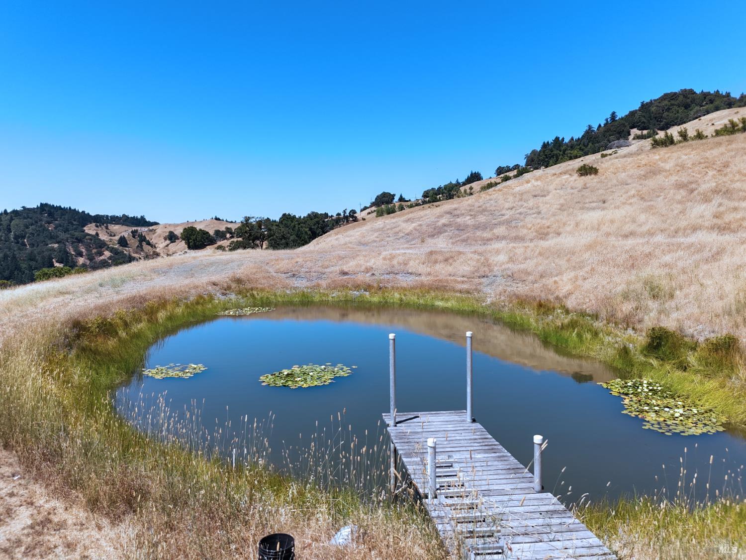 Detail Gallery Image 46 of 47 For 2980 Flat Rock Rd, Garberville,  CA 95542 - 3 Beds | 2 Baths