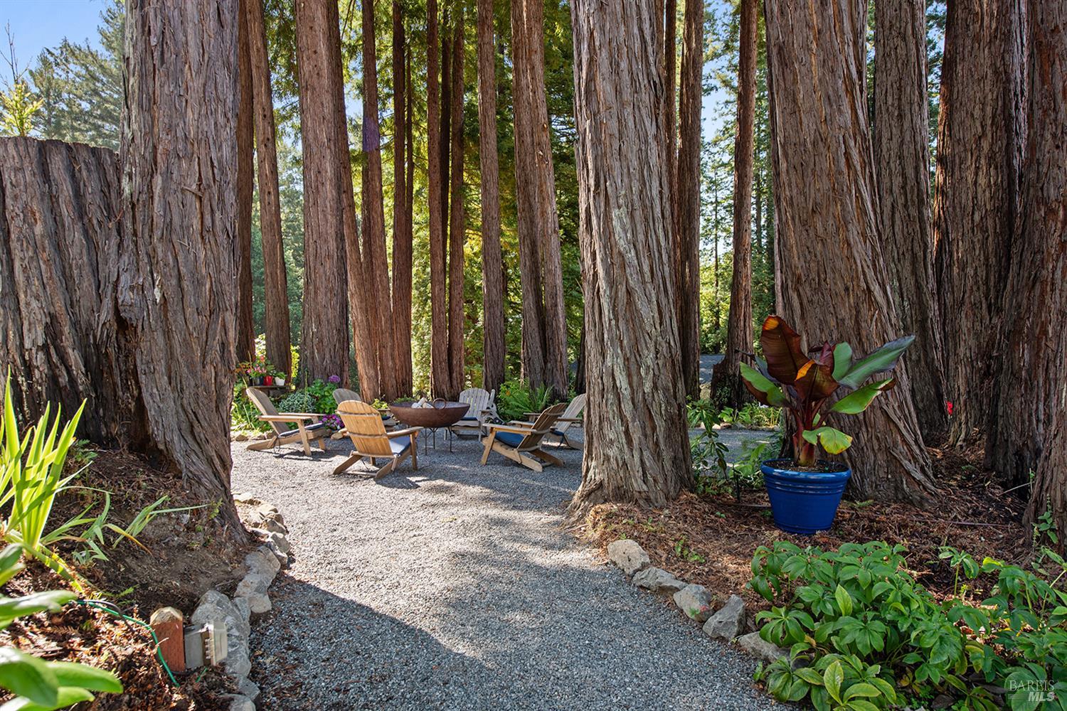Detail Gallery Image 52 of 89 For 12675 Fiori Ln, Sebastopol,  CA 95472 - 4 Beds | 3/1 Baths