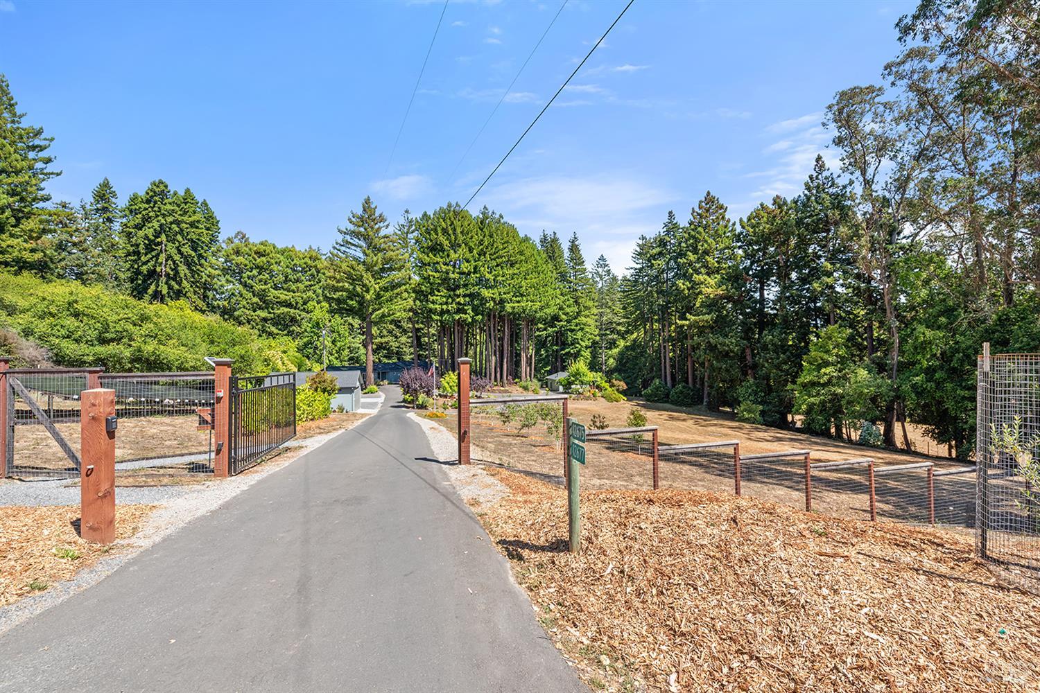 Detail Gallery Image 88 of 89 For 12675 Fiori Ln, Sebastopol,  CA 95472 - 4 Beds | 3/1 Baths