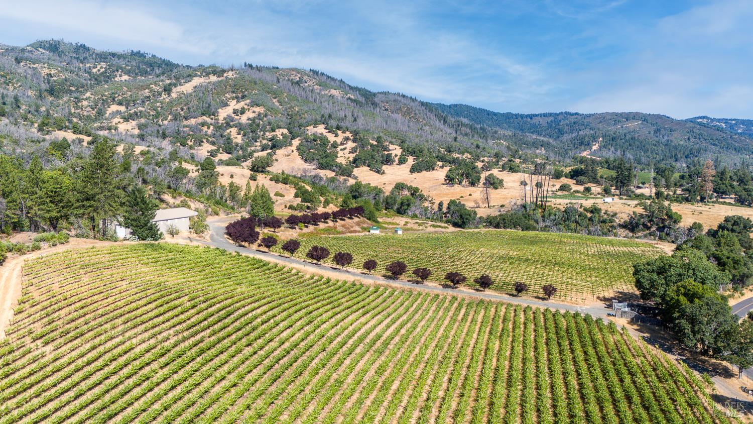 Detail Gallery Image 9 of 27 For 12400 Tomki Rd, Redwood Valley,  CA 95470 - – Beds | – Baths
