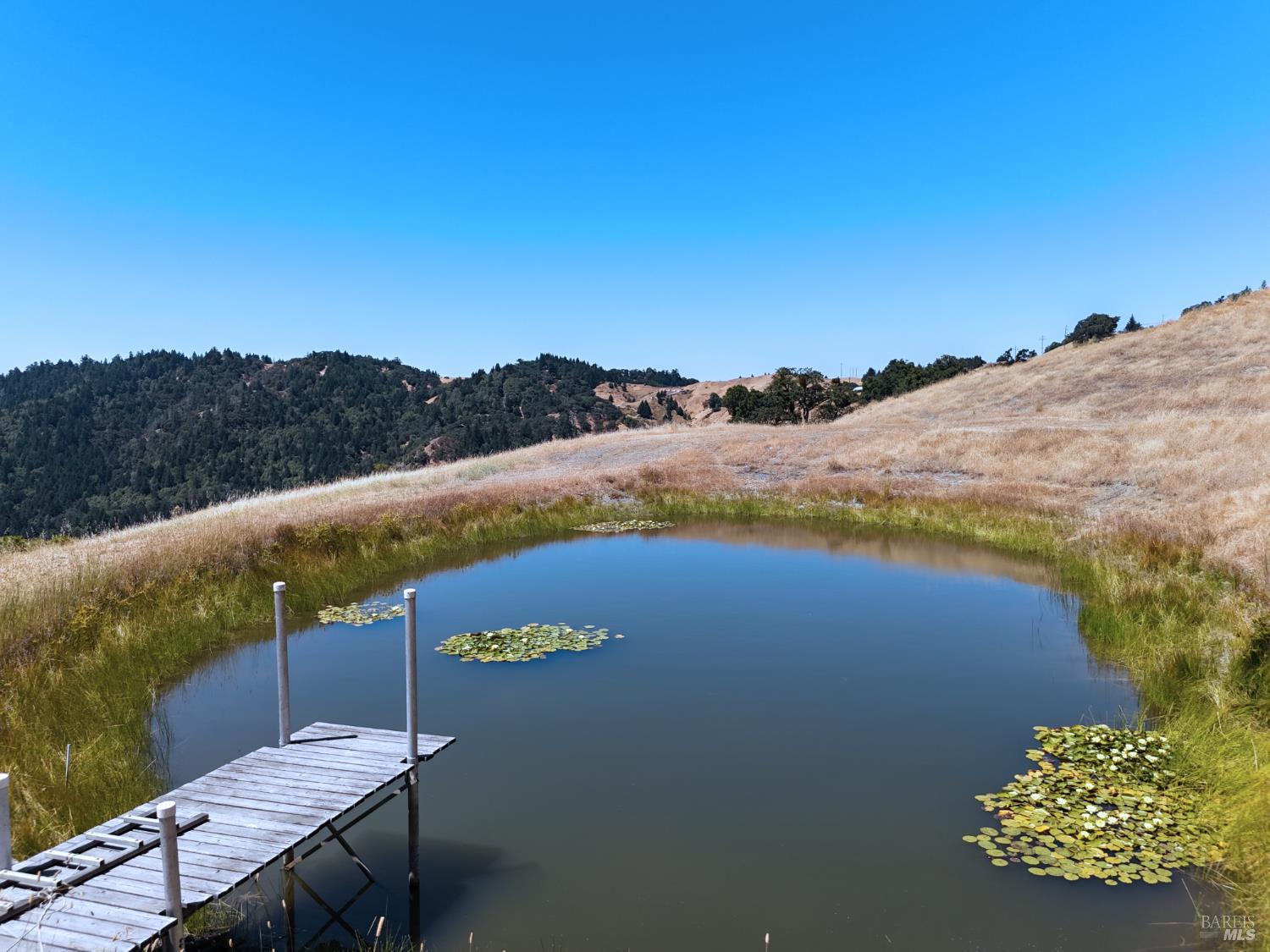 Detail Gallery Image 47 of 47 For 2980 Flat Rock Rd, Garberville,  CA 95542 - 3 Beds | 2 Baths