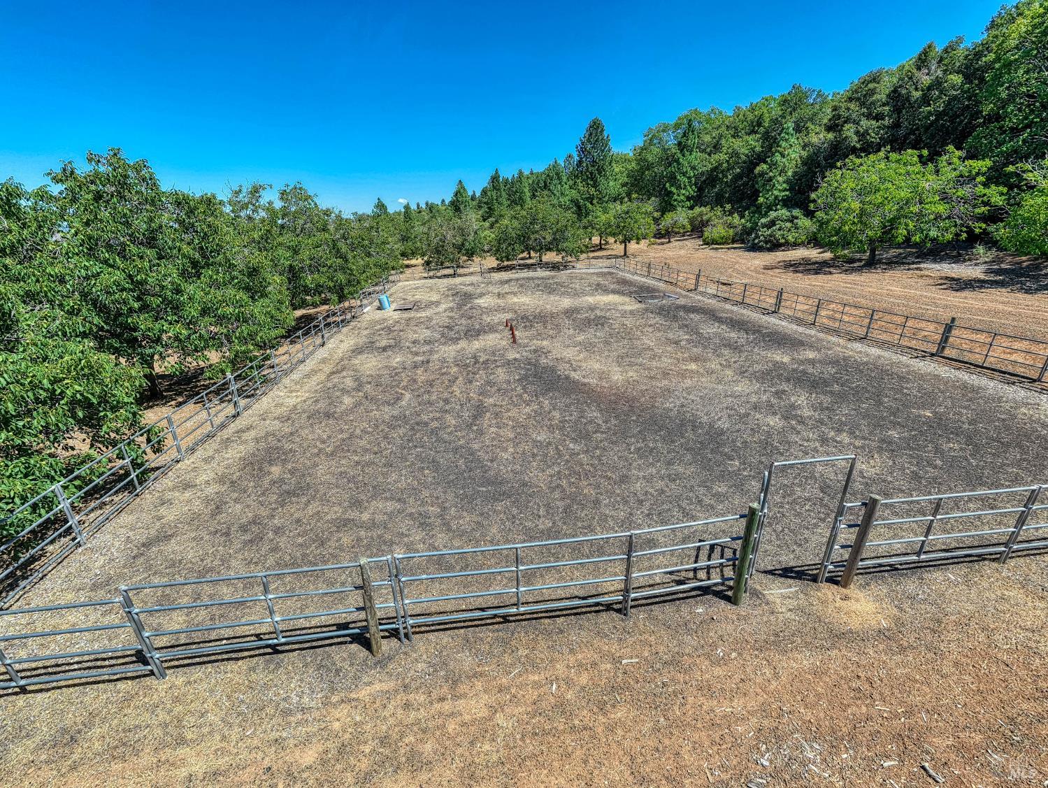 Detail Gallery Image 58 of 71 For 8700 Red Hills Rd, Kelseyville,  CA 95451 - 5 Beds | 3 Baths