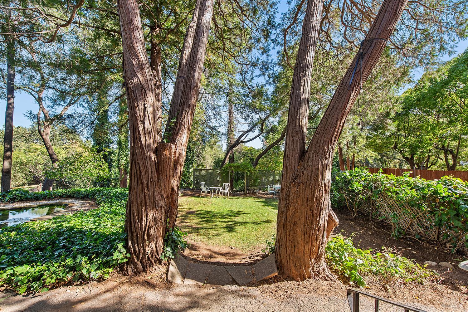 Detail Gallery Image 51 of 55 For 650 S Fitch Mountain Rd, Healdsburg,  CA 95448 - 3 Beds | 3 Baths