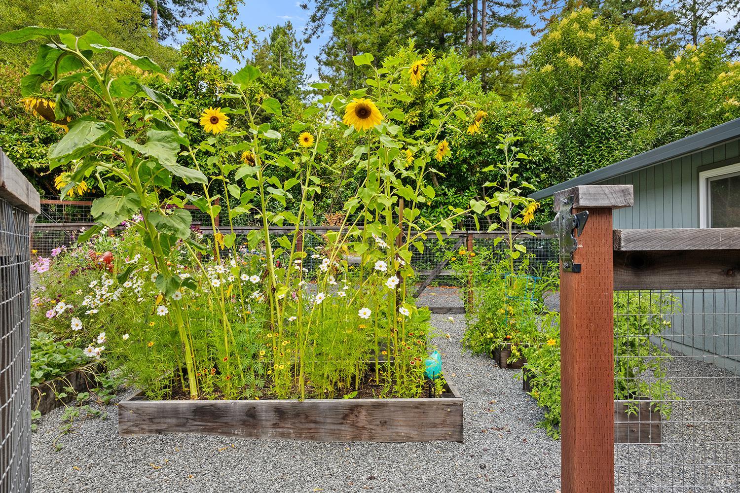 Detail Gallery Image 76 of 89 For 12675 Fiori Ln, Sebastopol,  CA 95472 - 4 Beds | 3/1 Baths