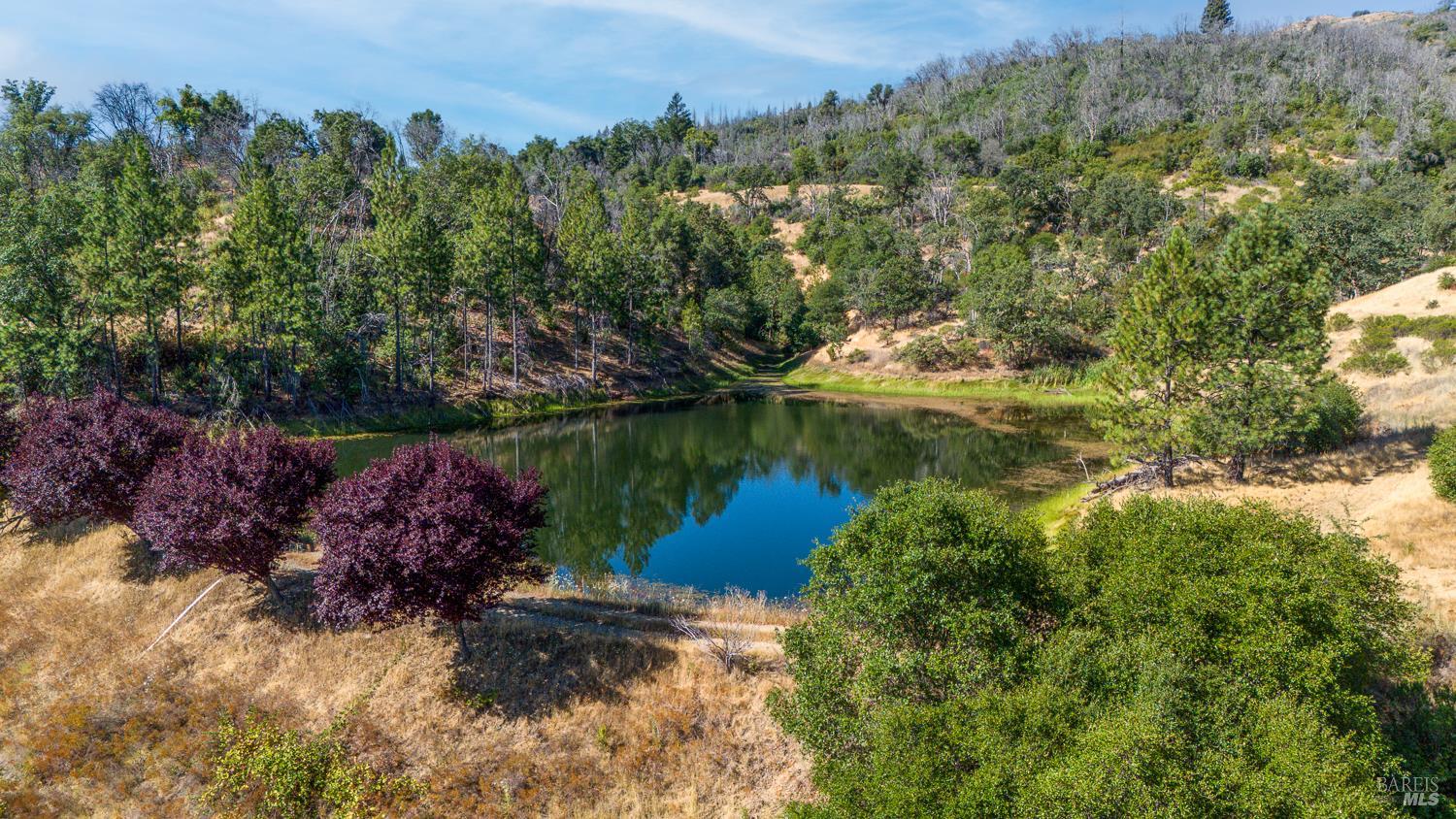 Detail Gallery Image 10 of 27 For 12400 Tomki Rd, Redwood Valley,  CA 95470 - – Beds | – Baths